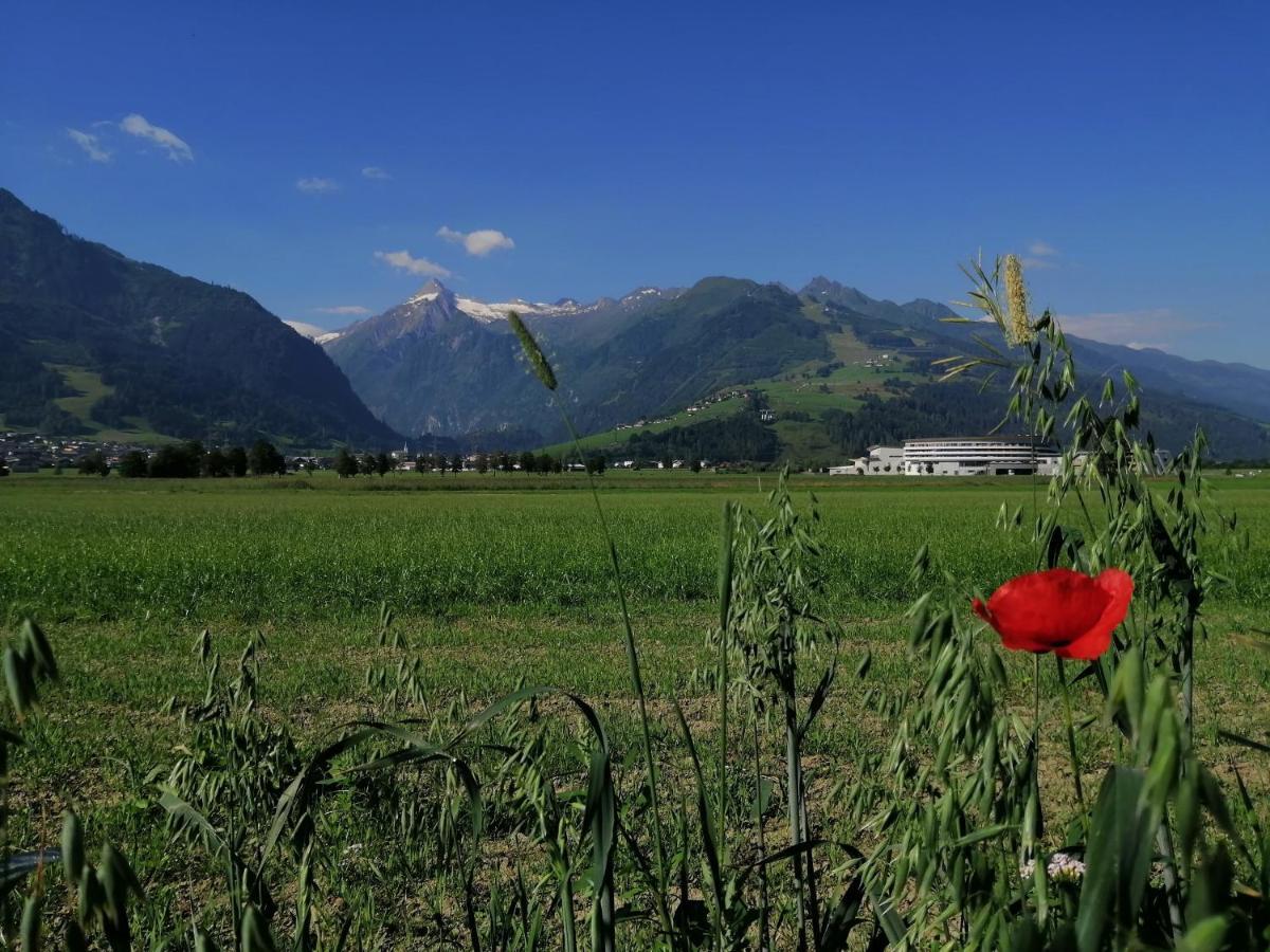 Alm Appartements Zellamsee Zell am See Dış mekan fotoğraf